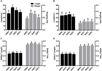 Nutrient Enrichment Improves Growth and Food Quality of Two Strains of the Economic Seaweed Pyropia haitanensis